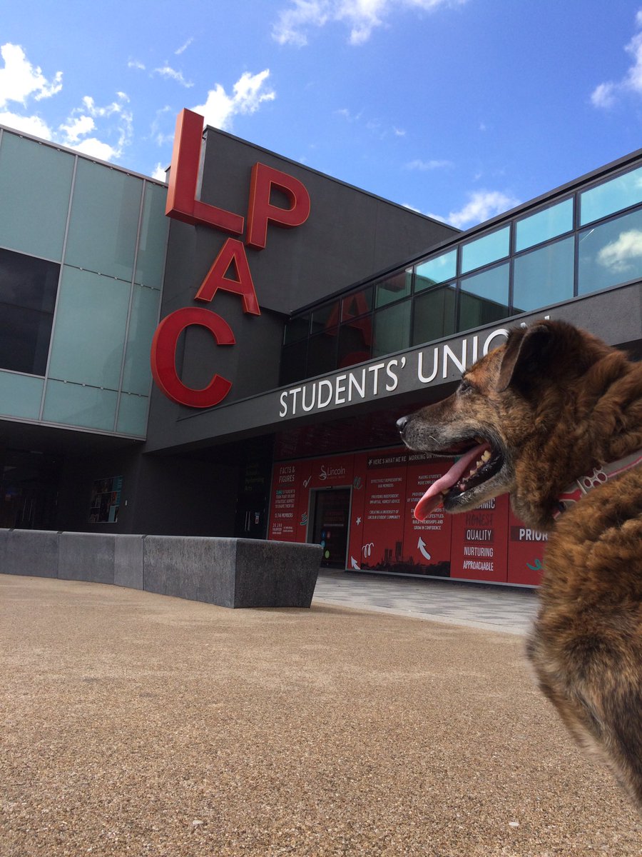 hannah_phiz's tweet photo. Rex visited @LPAC_Lincoln today. He was a very happy chappy #RexOnTour https://t.co/VOpQzZFagl