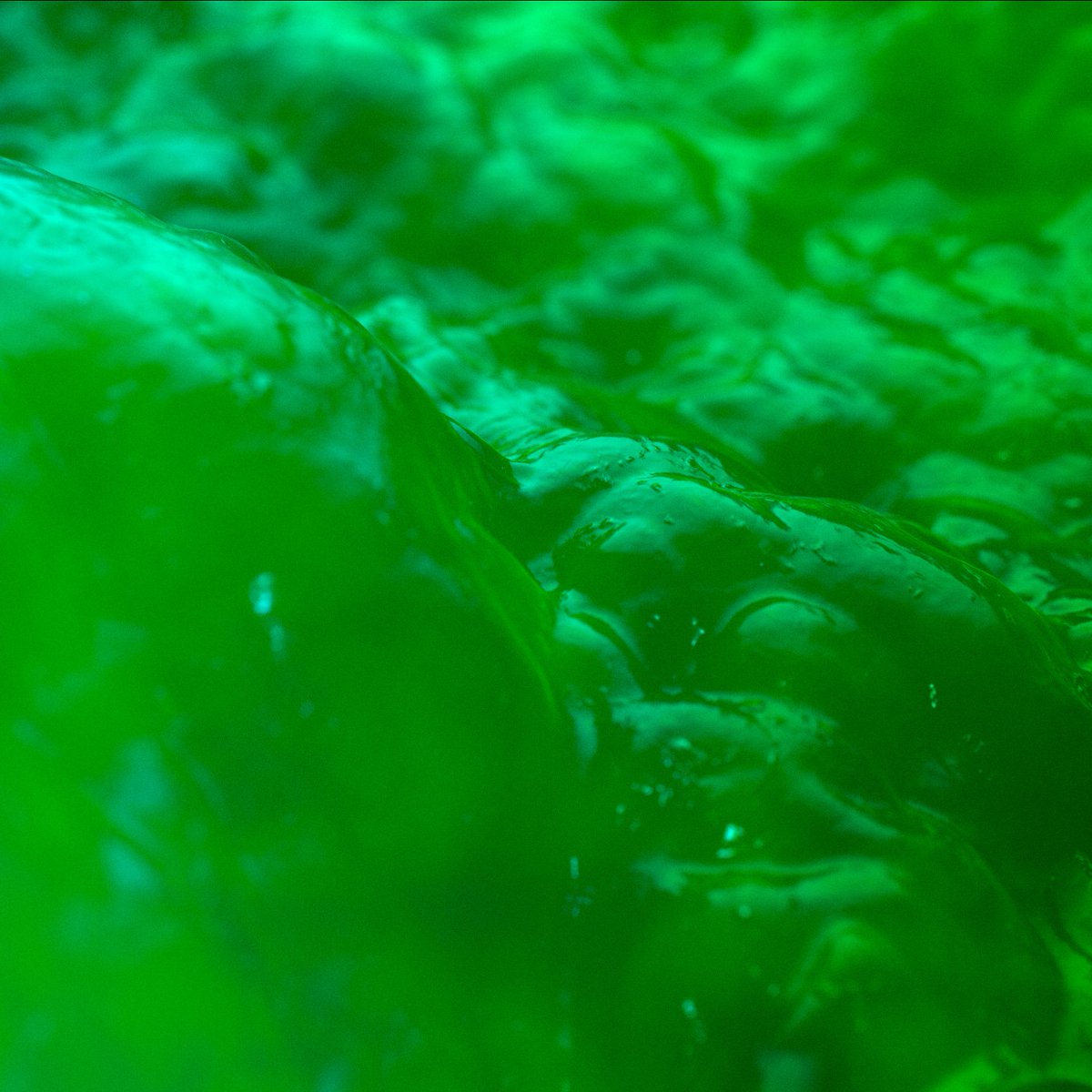 perrycooper.eth tweet media