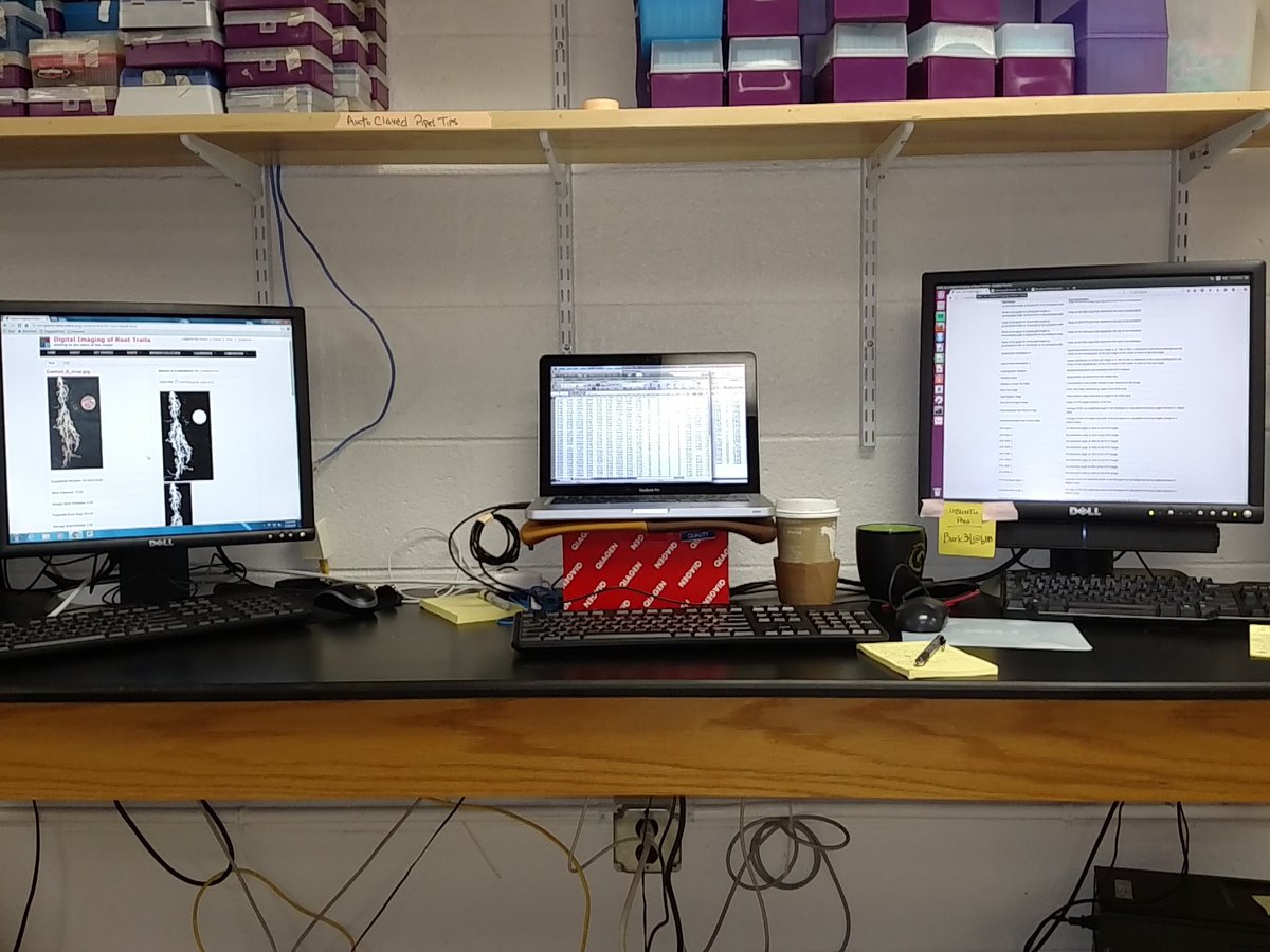 RishiMasalia's tweet photo. Productivity is directly proportional to the # of computers I have running. #bioinformatics #RootImaging https://t.co/MX6AH5qrNu