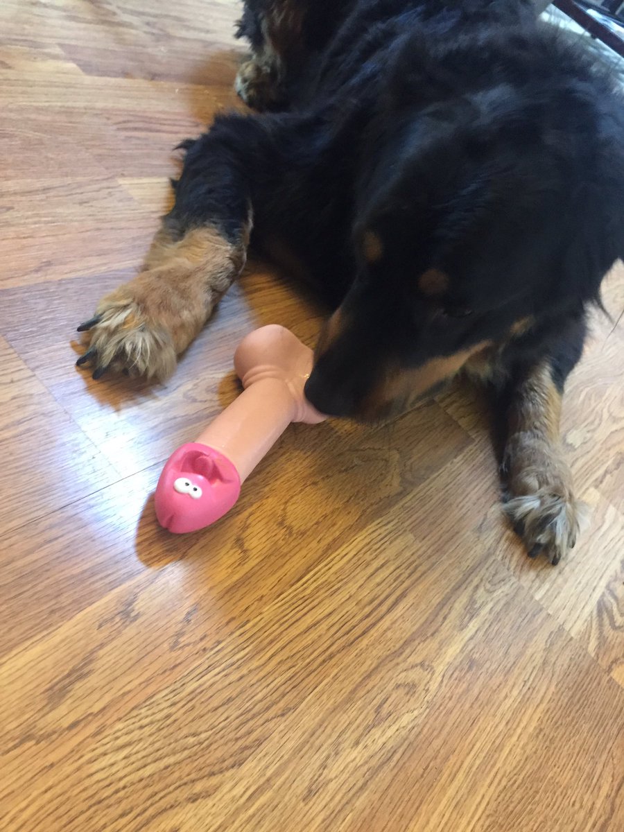 Georgejablonski's tweet photo. A present from me https://t.co/Kec1G4OLcy