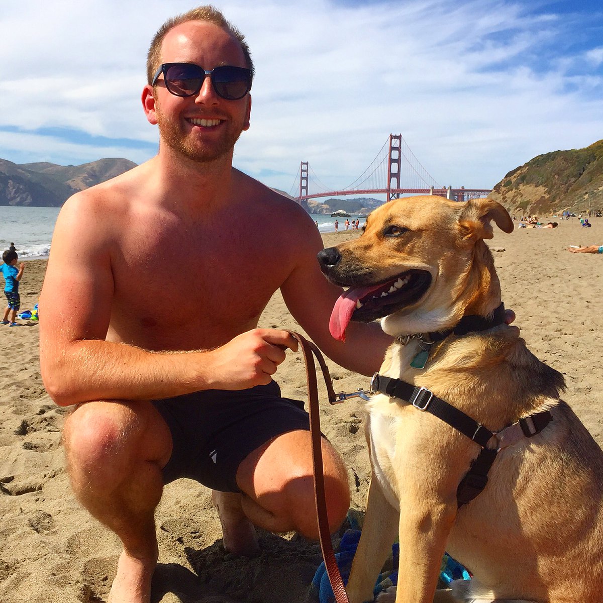 davymorris147's tweet photo. Afternoon at the beach with pound rescued dog Jackson.
#happydog #bakerbeach #goldgatebridge #rescuedog #California https://t.co/vUDe3icfT2