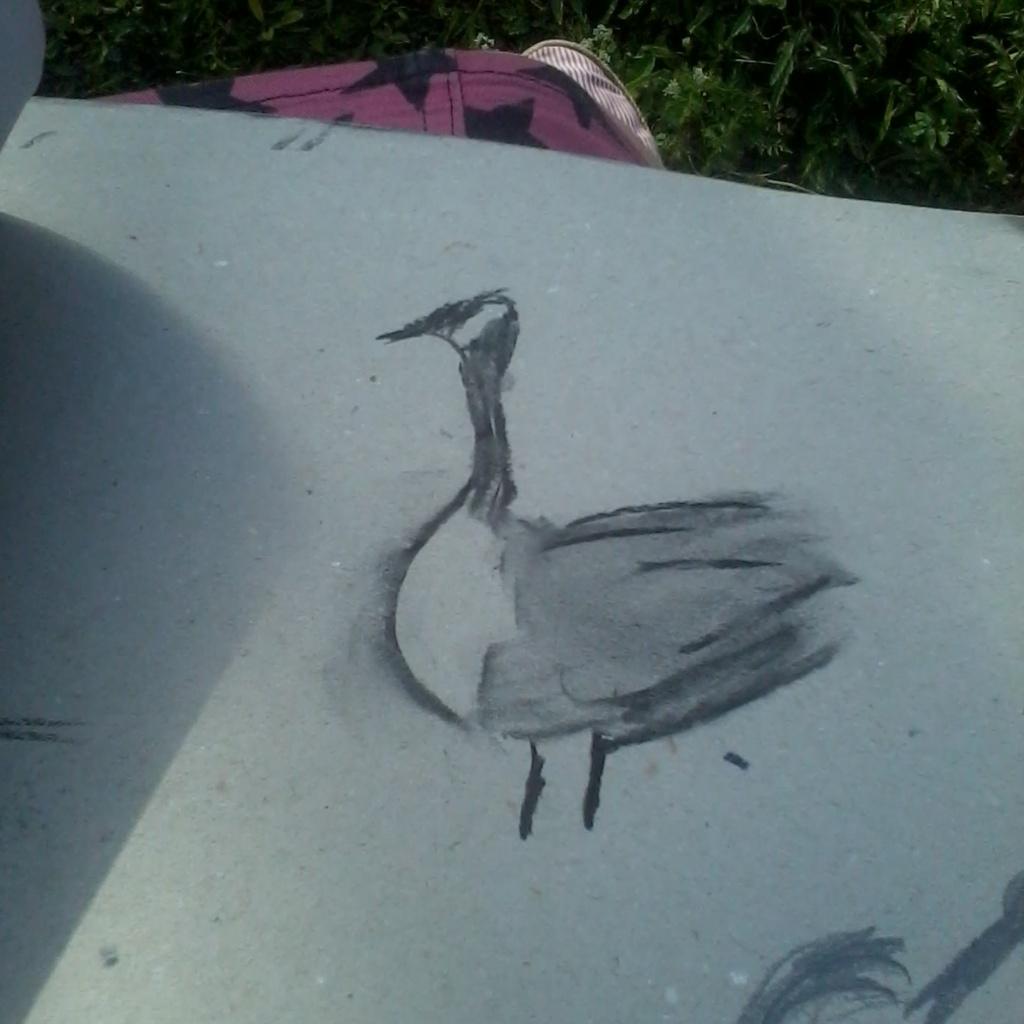 Sketching the neighbours on the roof
#lovemygeese #canallife