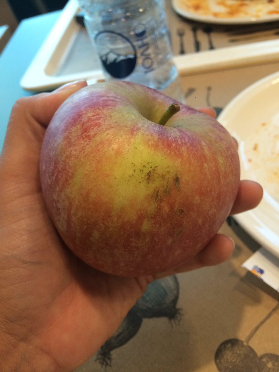 sierrabein's tweet photo. This sad apple cost 2.80 euro )))): now I'm a sad apple #travel #europe #sadapple https://t.co/yEYv5V260D
