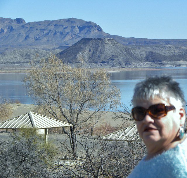 Jo Ann Wentzel tweet media