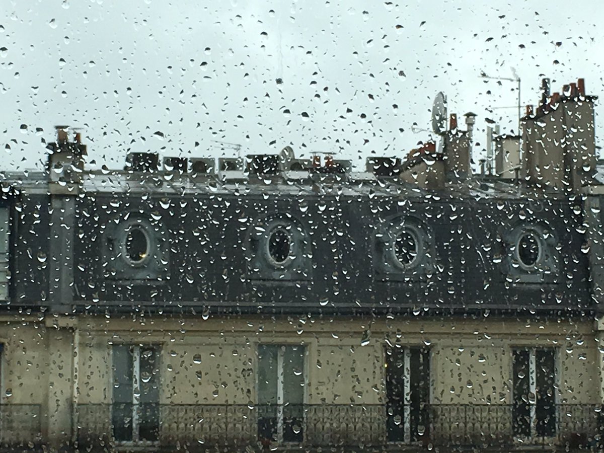 joancarlesperis's tweet photo. La primavera amb més pluja des de 150 anys. Quan em queixo del temps de París vull dir això. I 17 graus de màxima. https://t.co/cmov44WkzY