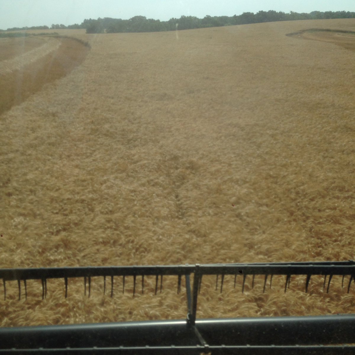 Dennis Vollrath tweet media