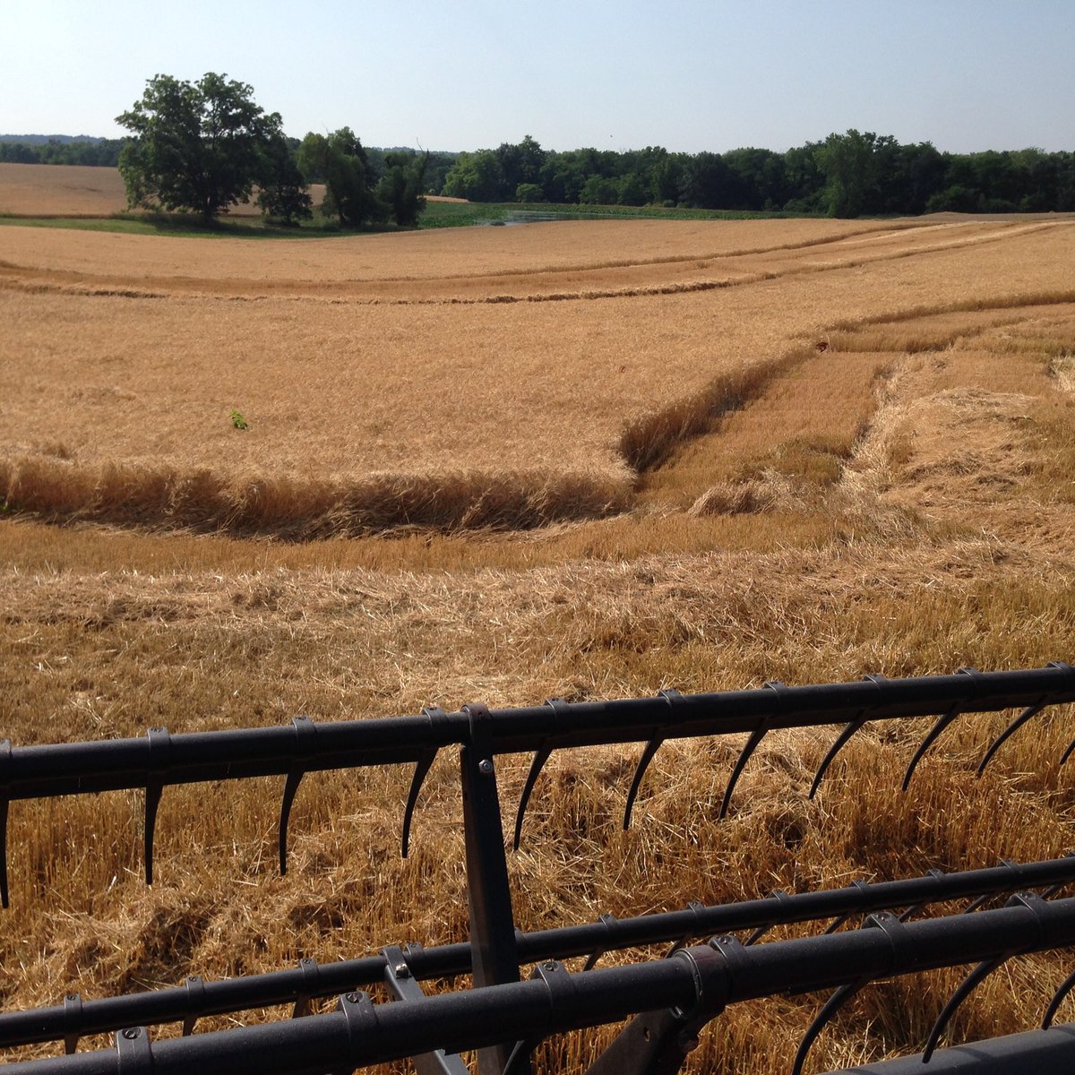 Dennis Vollrath tweet media