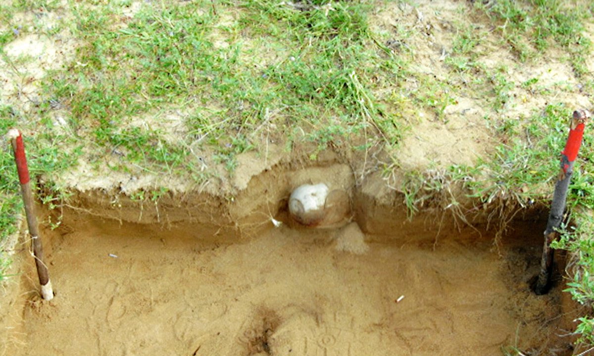 sabeshwaran's tweet photo. #Clusterbombs  used in #SriLanka 's #CivilWar , leaked photos suggest #lka https://t.co/nx3Mm2PWaN https://t.co/Mg8LnMNxon