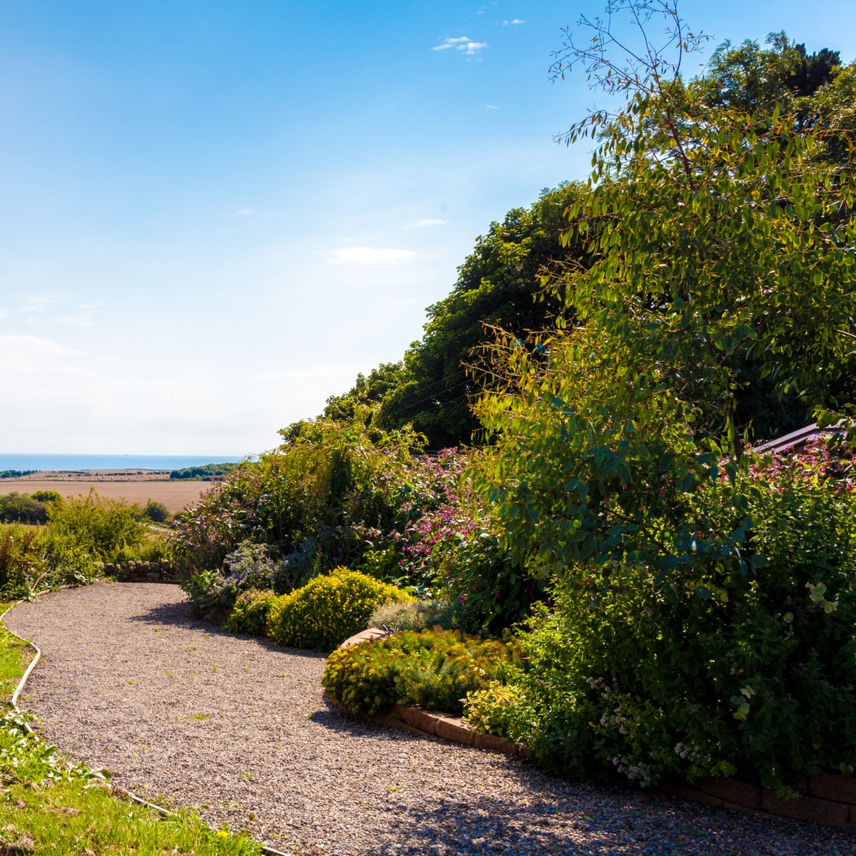 Coberhill's tweet photo. Summer offers 20th-30th July 2016 Full Board weekend stay: 1 night £70.00pp 2 nights £120.00pp 3 nights £190.00pp https://t.co/J2CCXmUghf