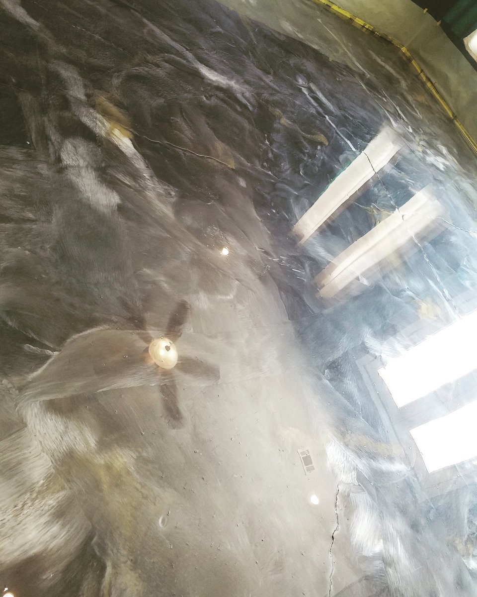 Tate_Collection's tweet image. A little marble won't hurt! ❤

Clear coat tomorrow!