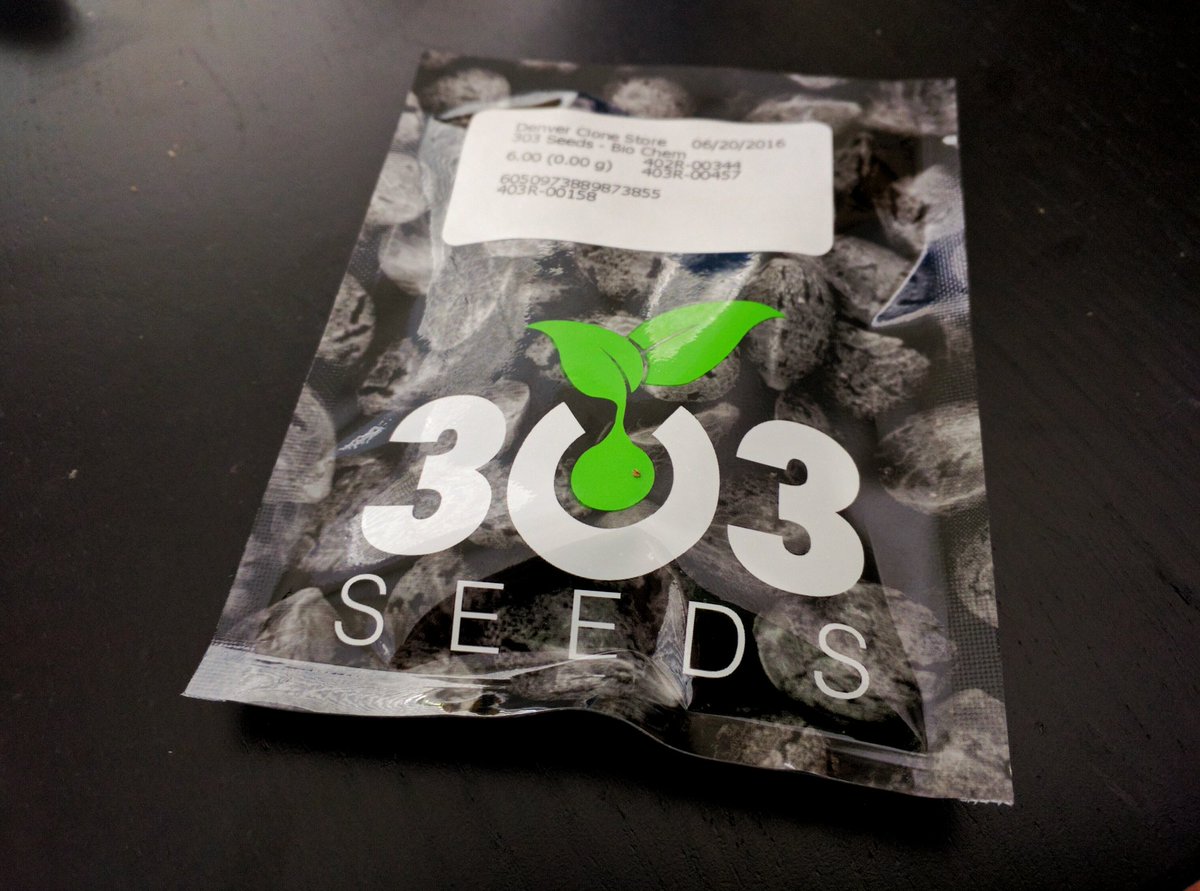 JtheDirty's tweet photo. Stoked to germinate BioChem #cannabis seeds from @303Seeds! #indica #mmj https://t.co/Szrb91bdkR