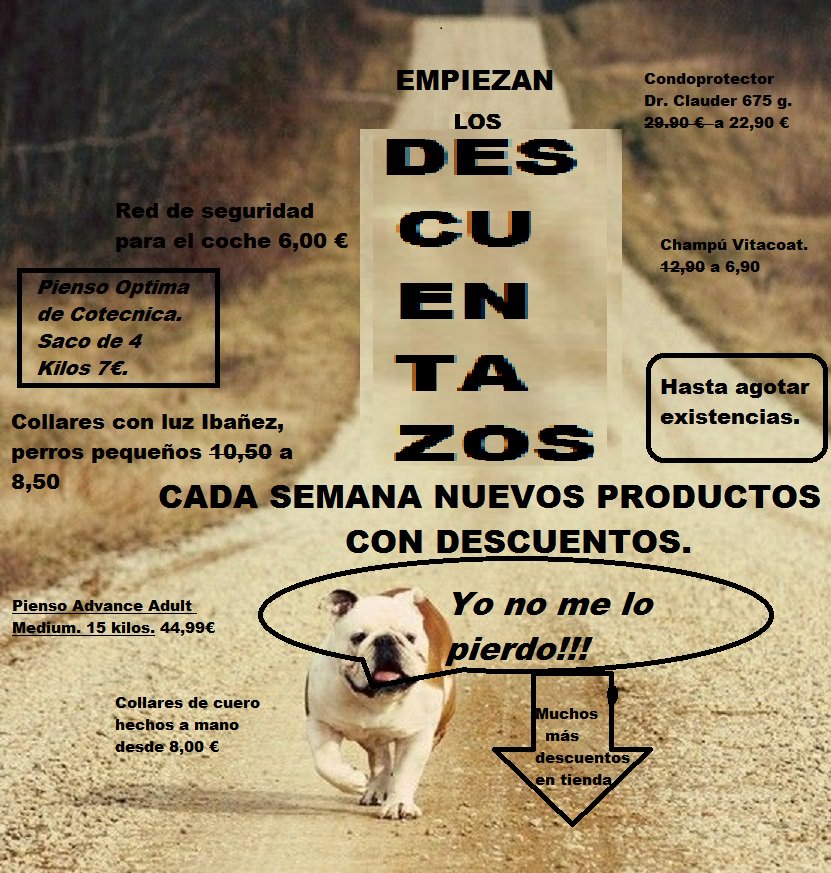 mascotall's tweet photo. https://t.co/TeuBxBQi8L