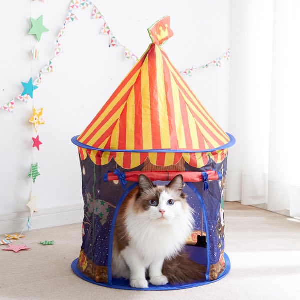 erilovelove's tweet photo. ヒルズのキティーダイアモンドで
ついに 買ってしまいました🐈💕
題名 「夜の遊園地」🌠🎪 らぷちゃんのために 🐈💕 やっぱり かわいいかもしれない ちなみに この子はらぷちゃんではありません…(笑)#メインクーン #citten https://t.co/02nMqQlLUQ
