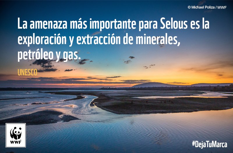 WWF Mexico tweet media