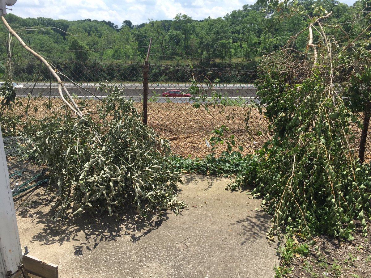 amyjeffries's tweet photo. @OhioTurnpike told me 10' swath was being cut. Everything is gone. Yard covered in dust and so noisy I'm going to 😢 https://t.co/bzoFTh1LVV