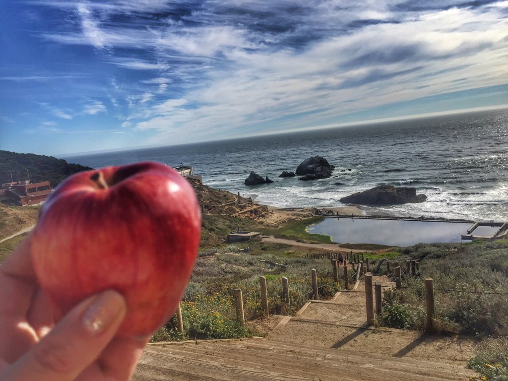 saraiknowledge's tweet photo. When the views perfect but don't have rolling papers &amp;can't decide whether u wanna eat ur apple or smoke out of it🍎💨 https://t.co/9E8qItQbmS