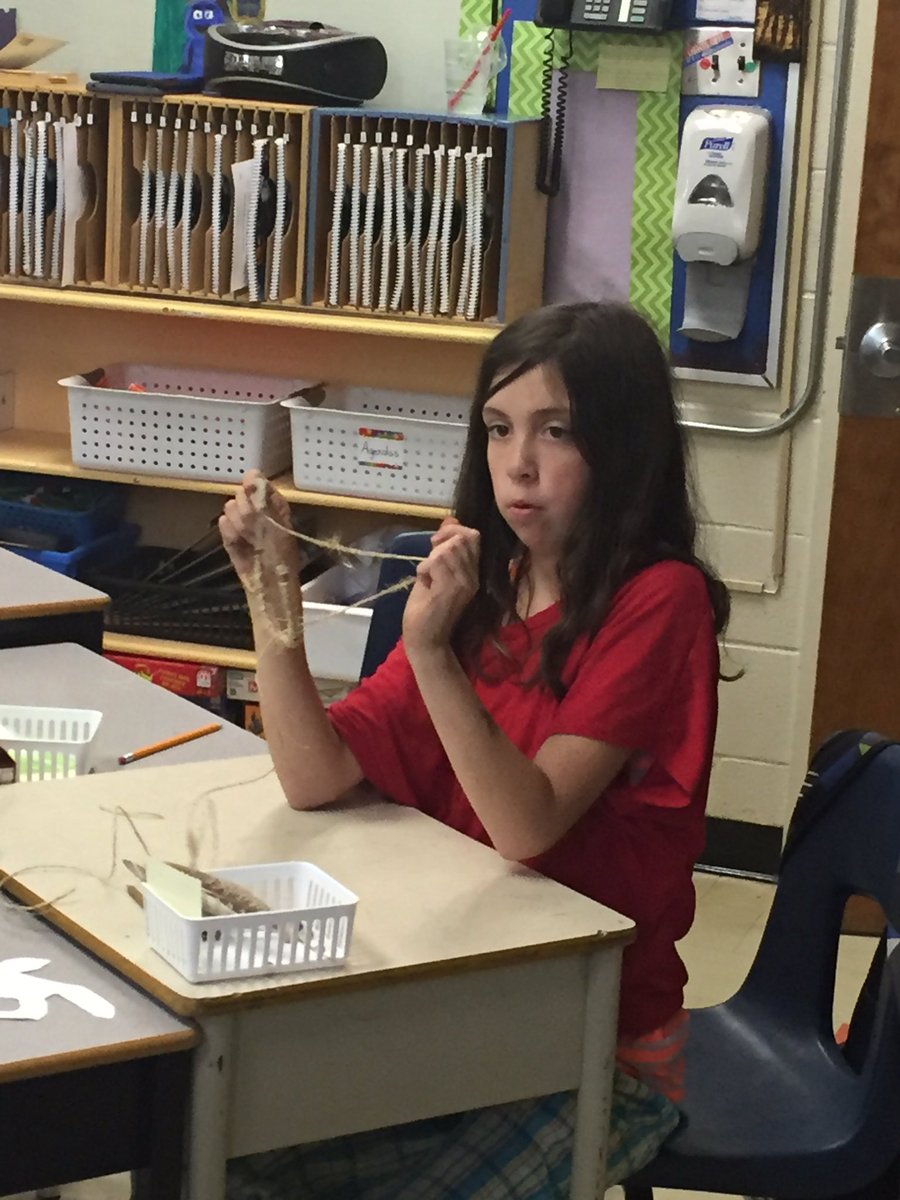 MrsKCanning's tweet photo. Learning about the history of dream catchers and making our own! @Aboriginal_Ed @sttm17 https://t.co/FVzOVYkXVJ