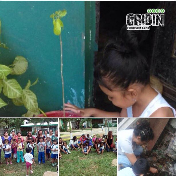 aguasimple_mx's tweet photo. Una felicitación a nuestros amigos de @GridinLM por las buenas acciones que realizan en el estado de #Yucatan https://t.co/bBsatwWbNp