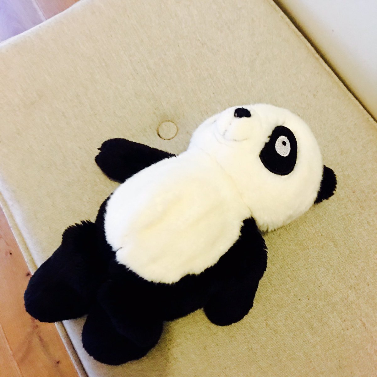 lorrainecandy's tweet photo. I am about to perform surgery on 'Pandy'. You may want to look away. #mumsneverstop https://t.co/dAZhyOetRR