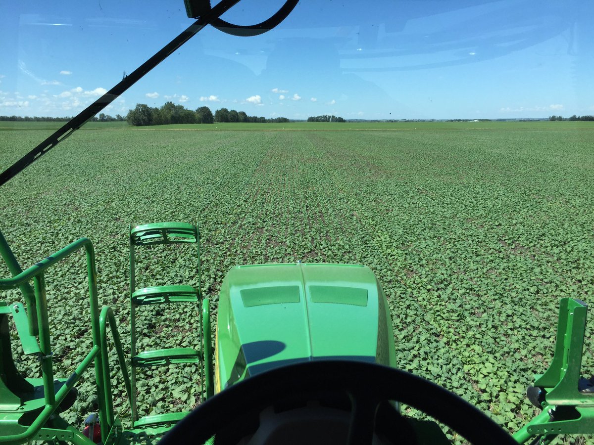 Big_B163's tweet photo. Second pass round up with some canola boost on the PAT plots. Looking good! @PioneerWCanada #ag365 #agmorethanever https://t.co/J66sFBuJQI