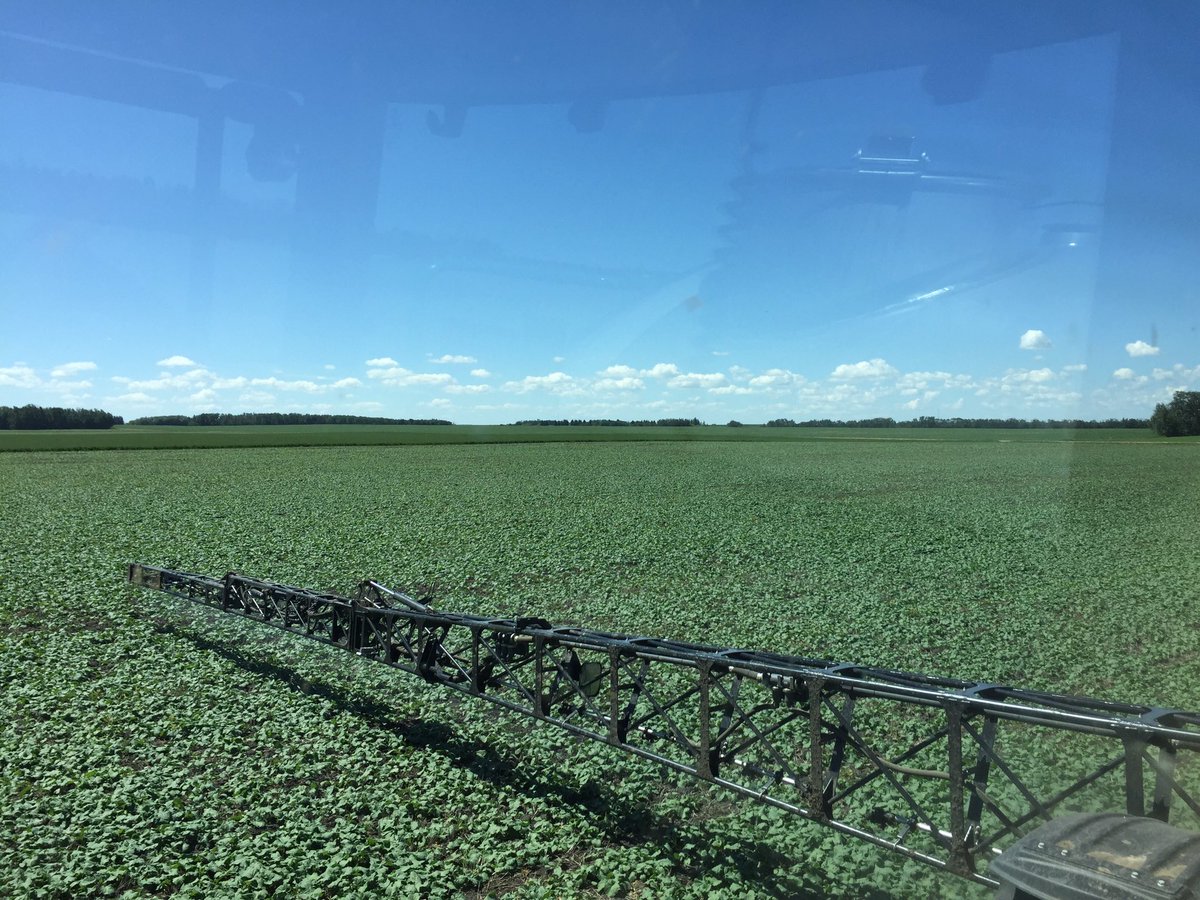 Big_B163's tweet photo. Second pass round up with some canola boost on the PAT plots. Looking good! @PioneerWCanada #ag365 #agmorethanever https://t.co/J66sFBuJQI