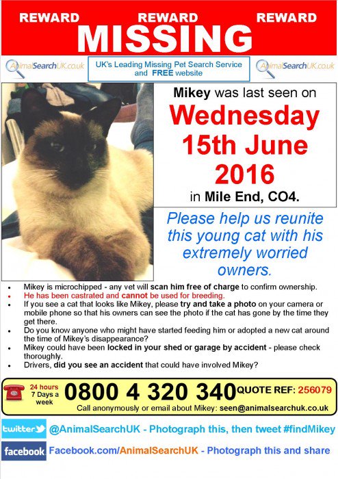 AnimalSearchUK's tweet photo. PLZ RT @Tesco @Medivet_UK #missingcat #clchester #CO4 #FINDMIKEY
https://t.co/3BL9bx02KM … https://t.co/J4Yi9MOGWz