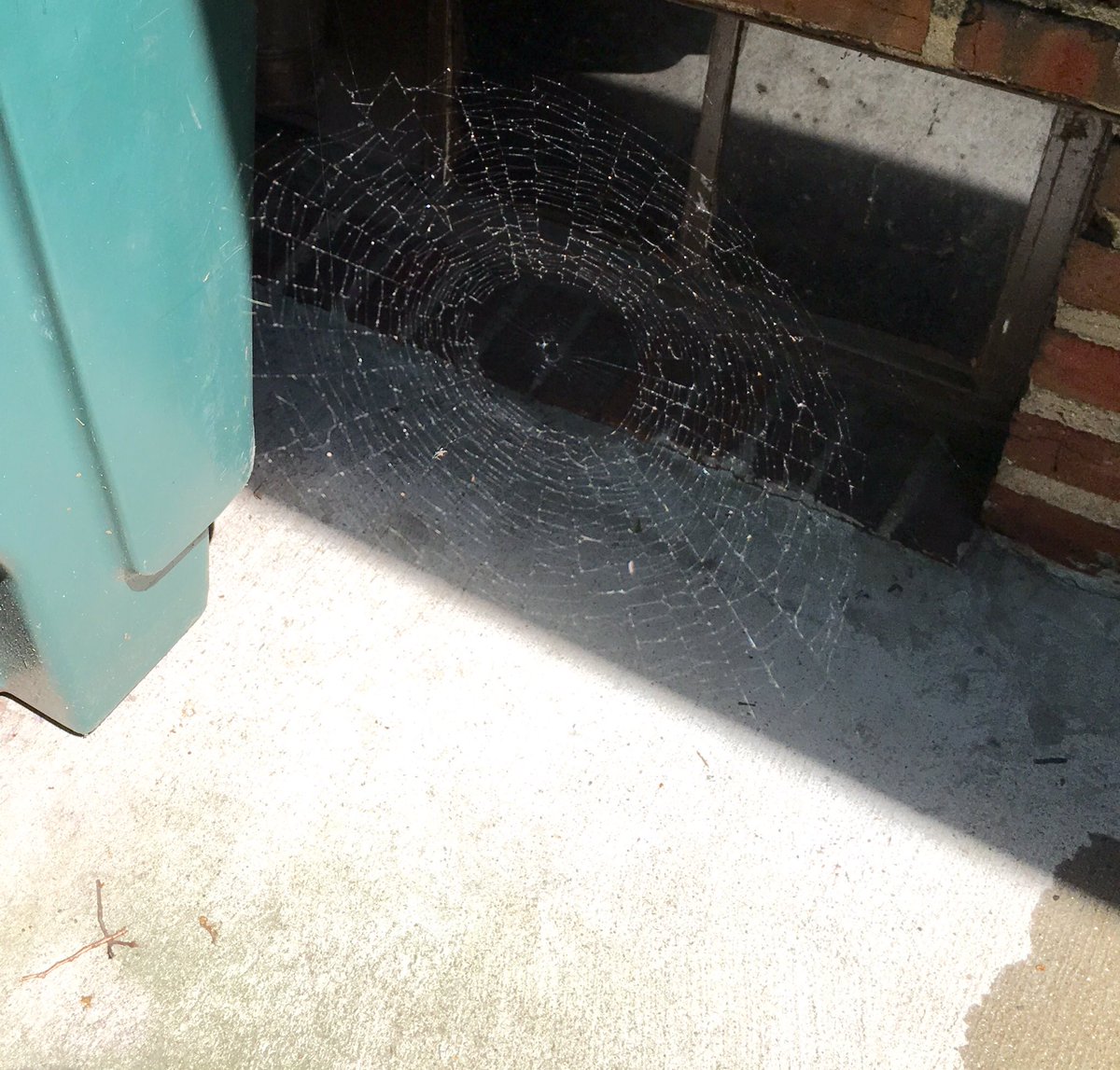 mstakelt's tweet image. Someone work in Suumer