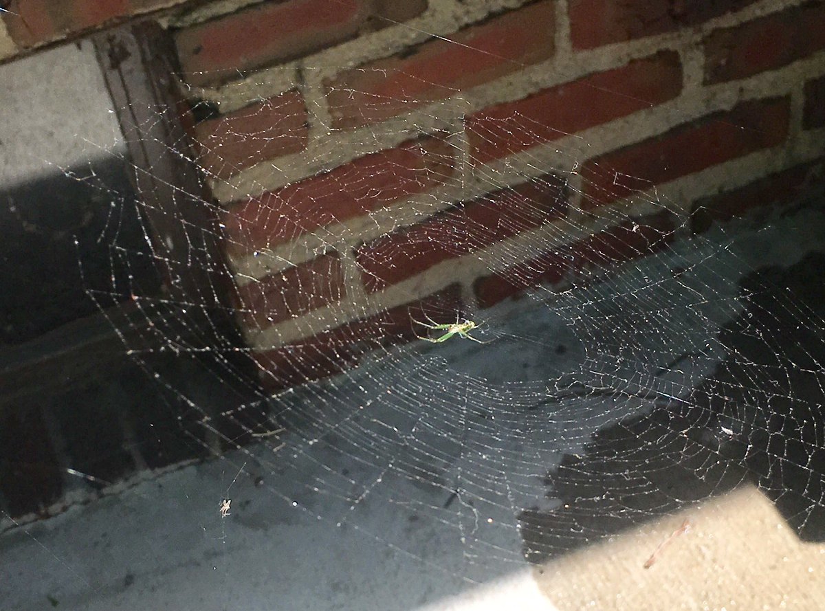 mstakelt's tweet image. Someone work in Suumer