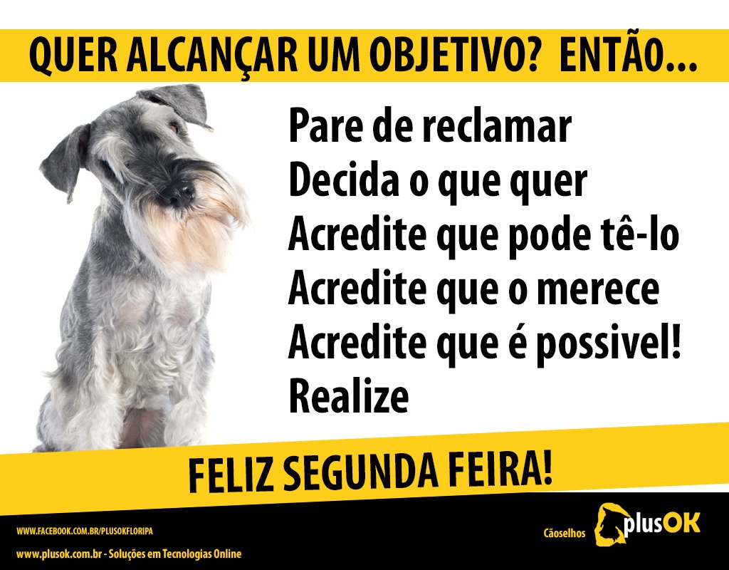 PlusOkFloripa's tweet photo. #felizsemana #prafrentesempre #acredite #plusok https://t.co/VS1TB7pusX