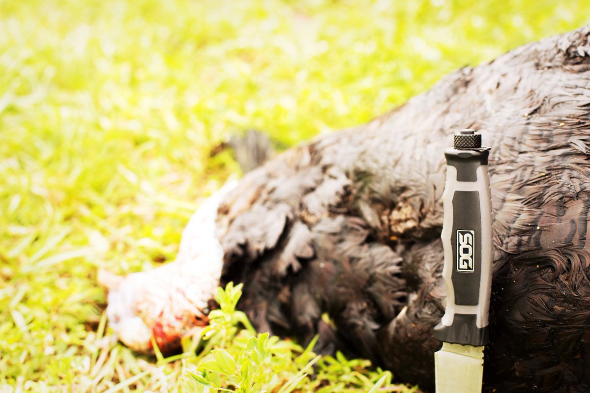 SOGKnives's tweet photo. @BowHunterPlanet with a nice #Turkey and our #BladeLight Camp. #hunting
https://t.co/IPShT8MuQD https://t.co/lKQ5JtTvls
