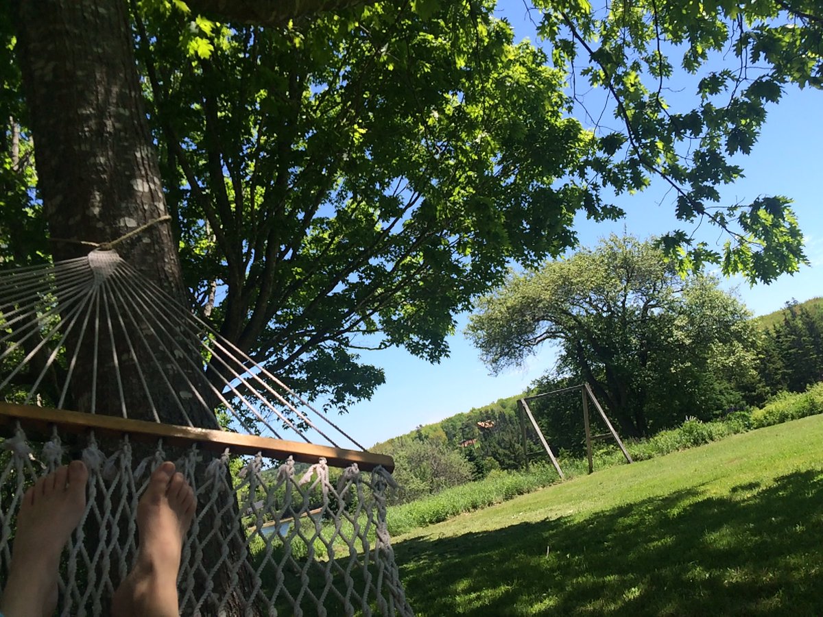 PotterDaughter's tweet photo. It's the most wonderful time of the year #summersolstice https://t.co/UXVOLEWX1e