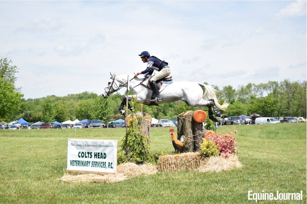 EquineJournal tweet picture