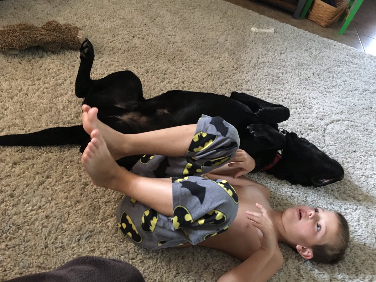 AmyPatterson00's tweet image. TWINS #LifeofMAX the Service Dog!