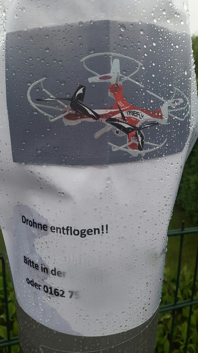 Hansi 2.0 entflogen! 😂