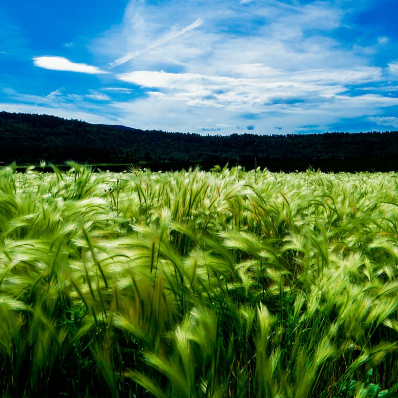 Greenpark_Group's tweet photo. Today marks the first of Summer, and the longest day of the year! #SolarSoltice #summer #Greenpark https://t.co/3nqFjSBpvJ