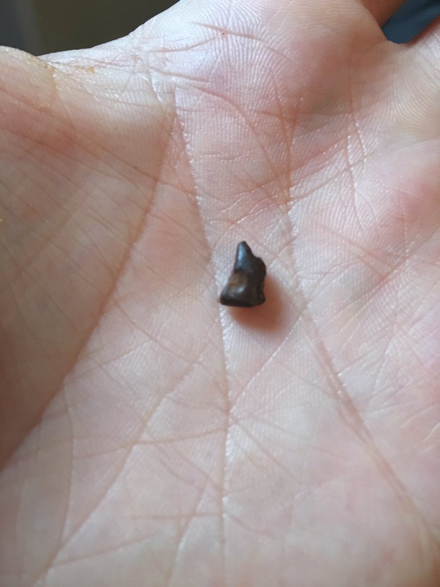 shortydMVP's tweet photo. @mmschocolate not happy at all about this very very hard stone like object in my M&amp;M's https://t.co/6IQqzlhKR5