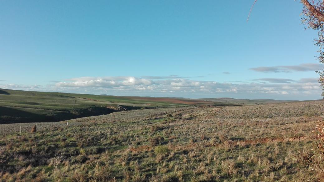 Somewhere on the road to Nyah