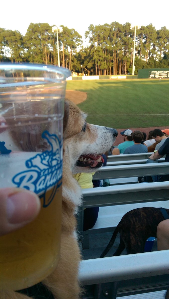 Much Ado About Brew tweet media