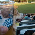Photo by Much Ado About Brew (@adoaboutbrew)