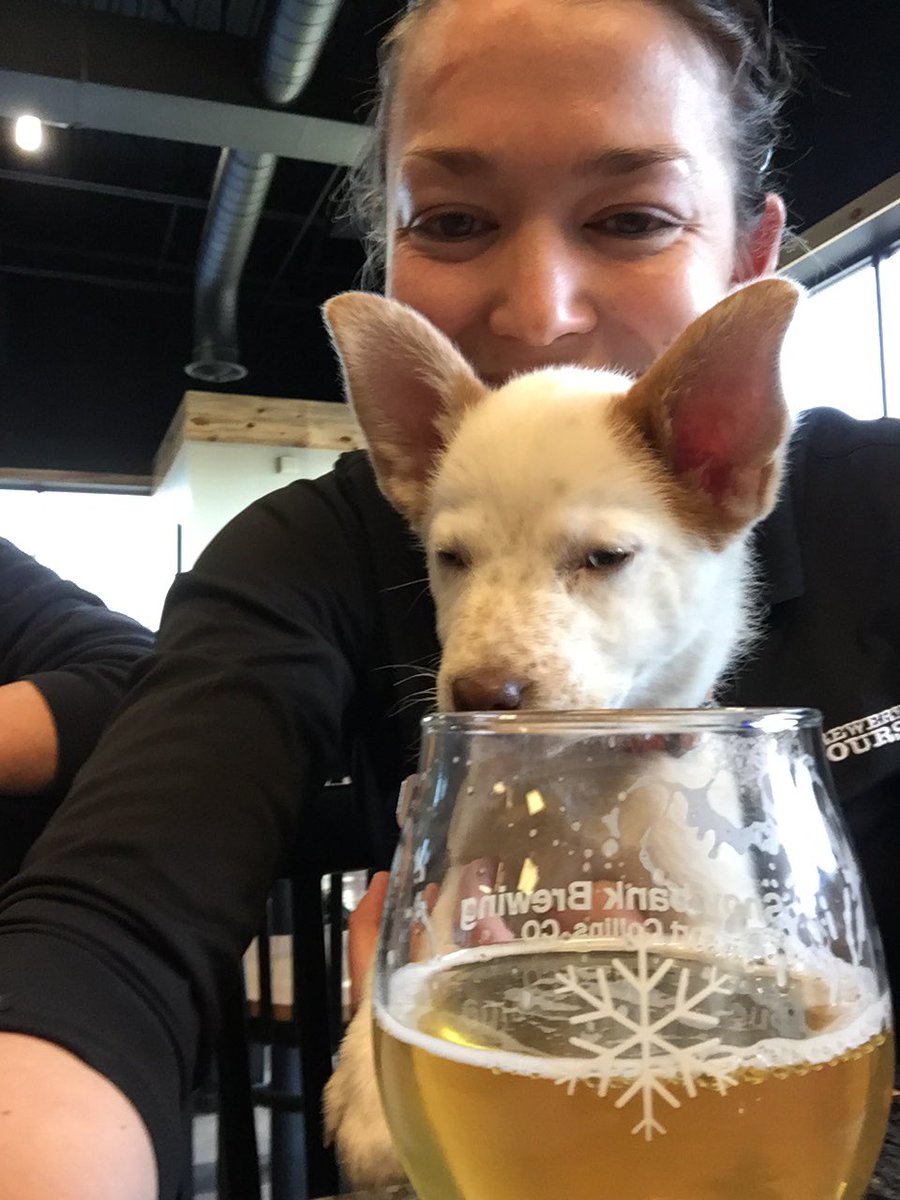 prigglet's tweet photo. Deposit here for beer! 🍻#fcbwhunt https://t.co/YT6X1KVHzI