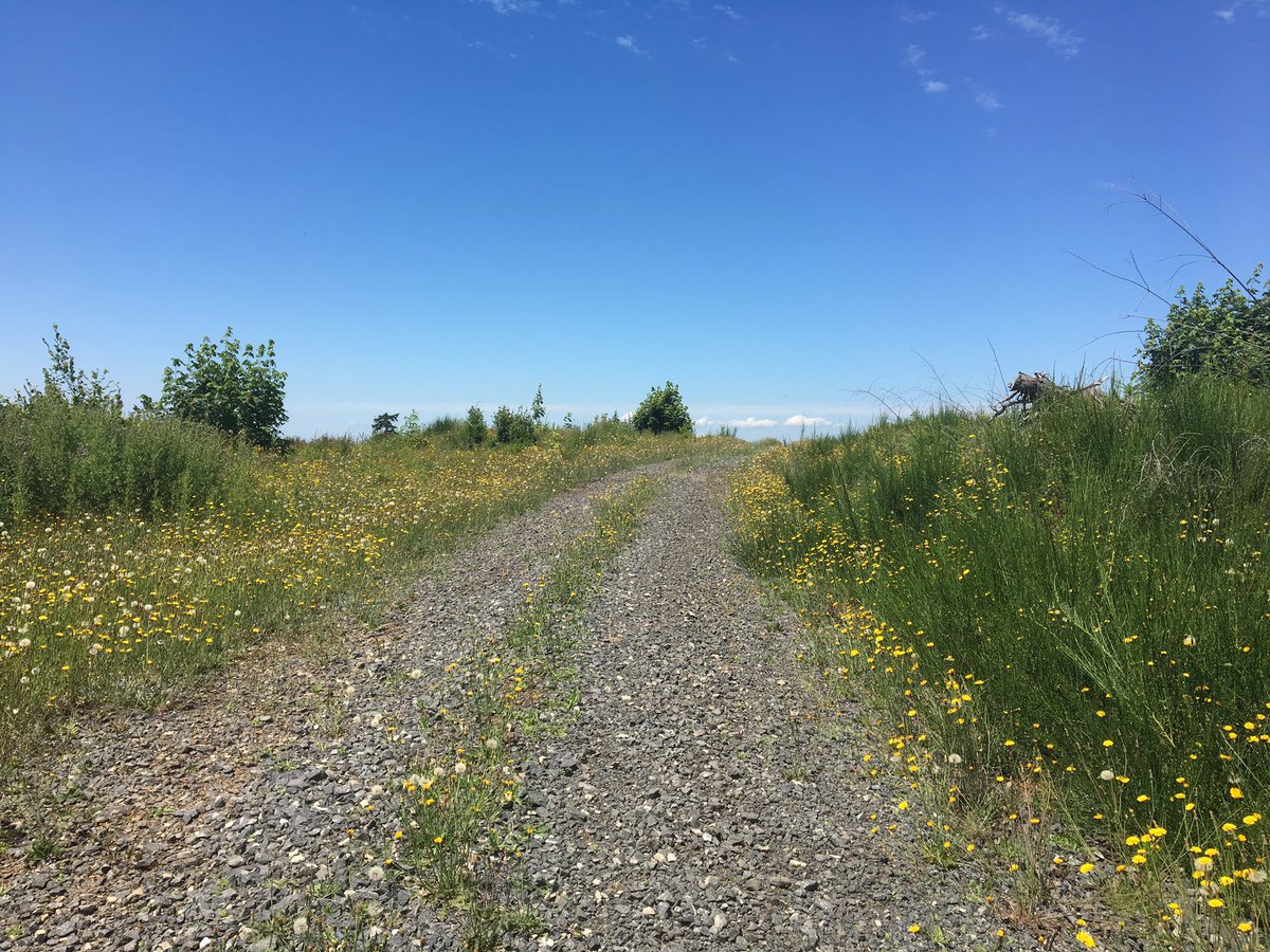 Gravel for lunch
#trailrunning