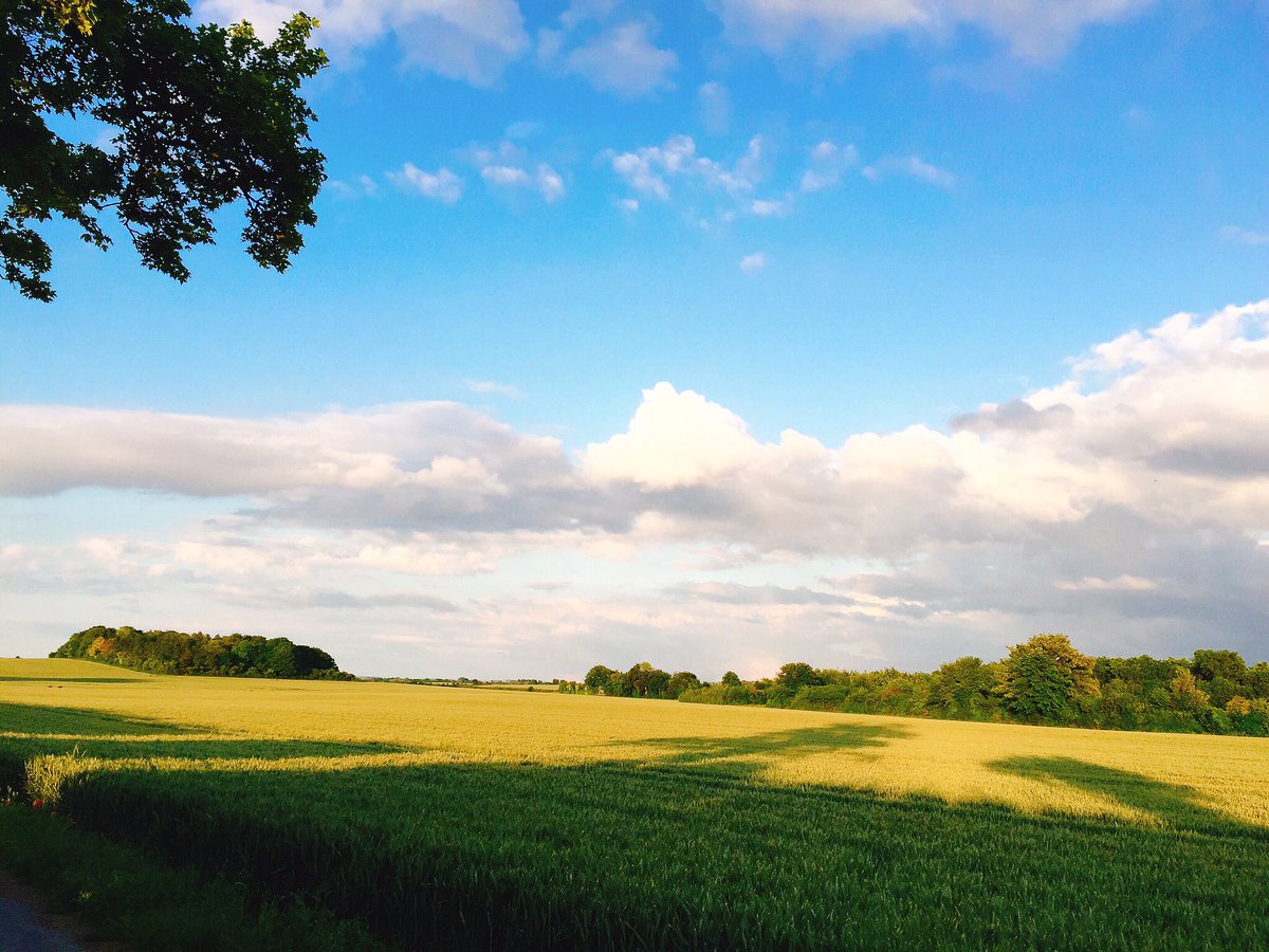 petertopping's tweet photo. Out for a #solstice2016 #cambridge run #SolsticeSolar https://t.co/JjiE5VioyO