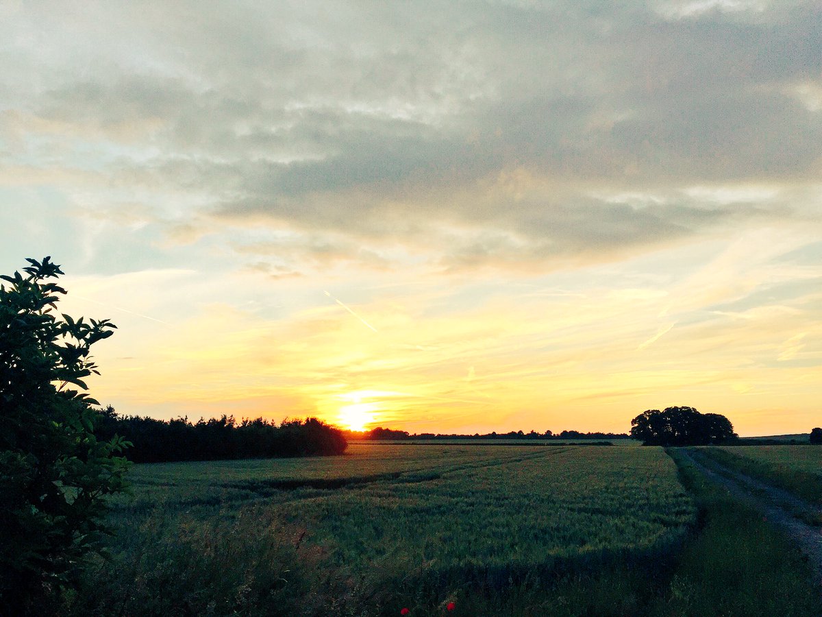 petertopping's tweet photo. Out for a #solstice2016 #cambridge run #SolsticeSolar https://t.co/JjiE5VioyO