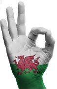 WeeFunkateer's tweet photo. HOLY FUCKARINO! Unbelievably ace work boys! CYMRU AM BYTH! #WAL #RUSvWAL https://t.co/MgWfBoSX7T