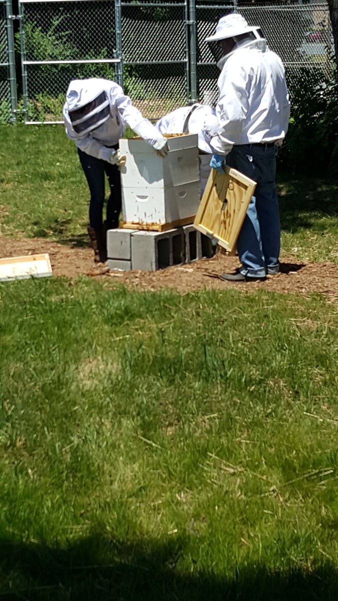 Landscape_CTC tweet media