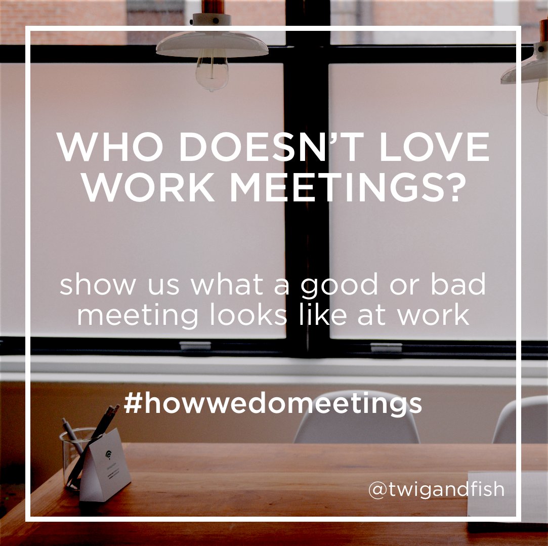 twigandfish tweet media