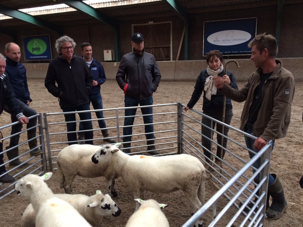 Na interessant bezoek <a href="/EcomunityparkNL/">Ecomunitypark</a> prachtige rit met paarden door natte bossen en leren schapen drijven bij PMO!