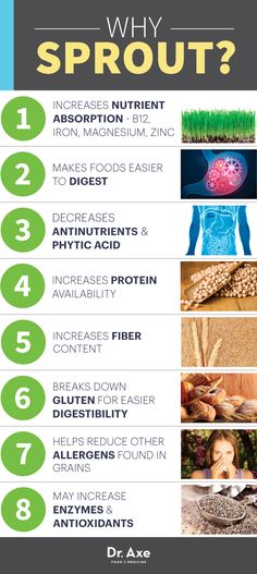 theblendergirl's tweet photo. This is why I soak/sprout my nuts + seeds before using them! #health #healthbenefits #healthy #eat #food #plantbased https://t.co/IBvNlbqCDL