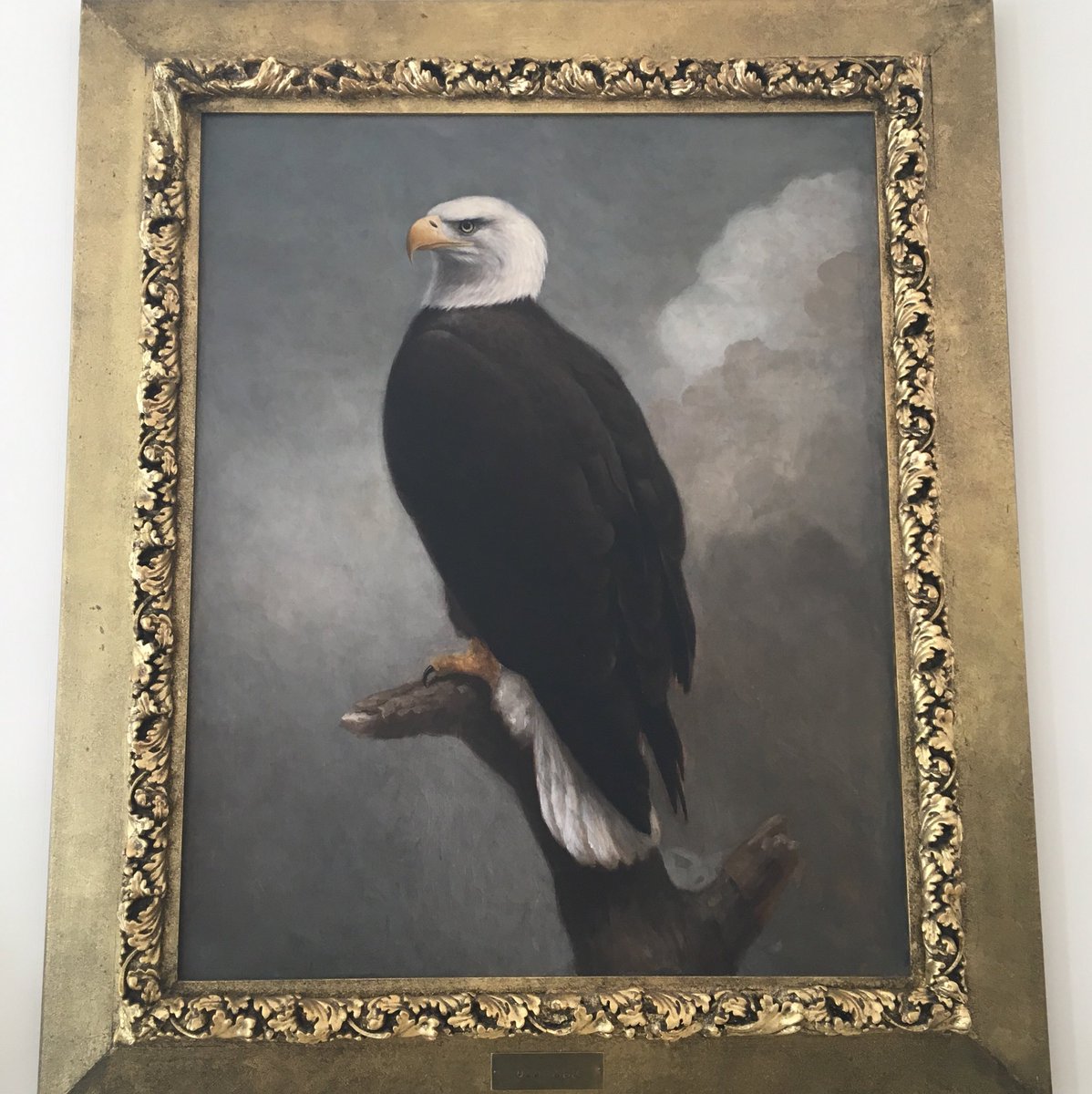 GovWalker's tweet photo. Proclaimed today American Eagle Day in honor of Americas National Emblem &amp; protected species the American Bald Eagle https://t.co/NlhqiLcjFJ