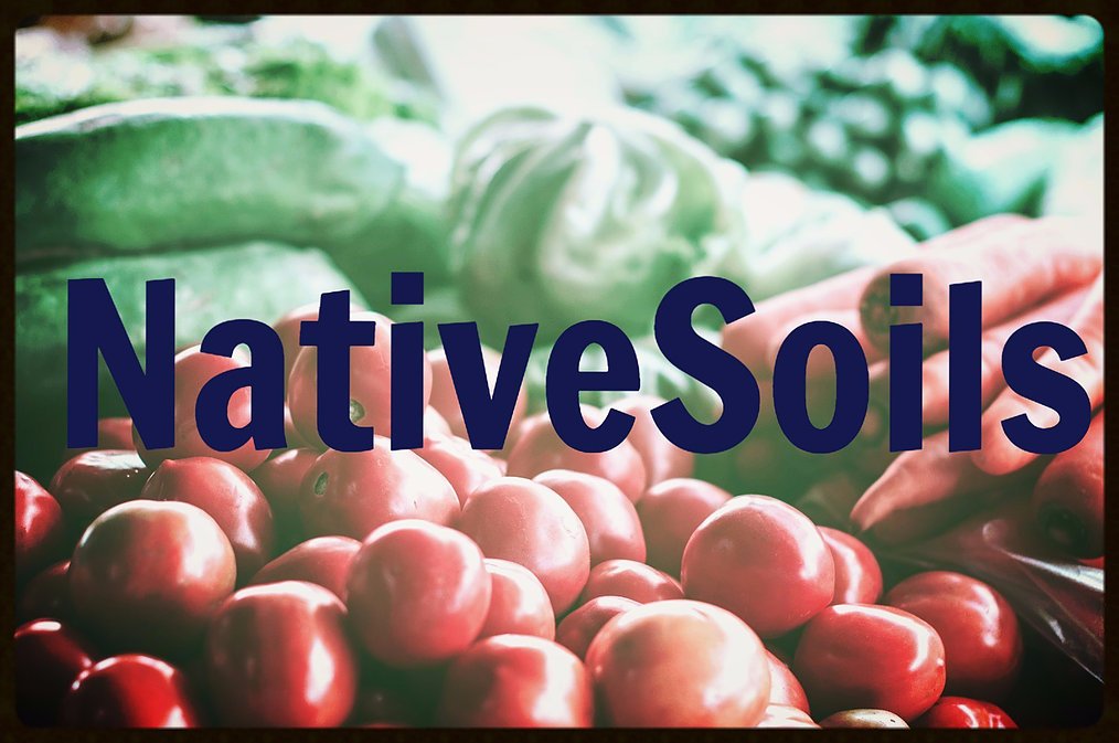 Check out our profile on #Indigenous #entrepreneurs Lissa and Tim, owners of NativeSoils! bit.ly/28JIABv